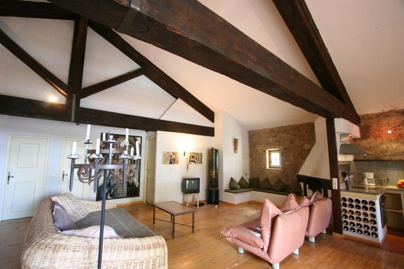Superb castle of the XIth century in south of France
